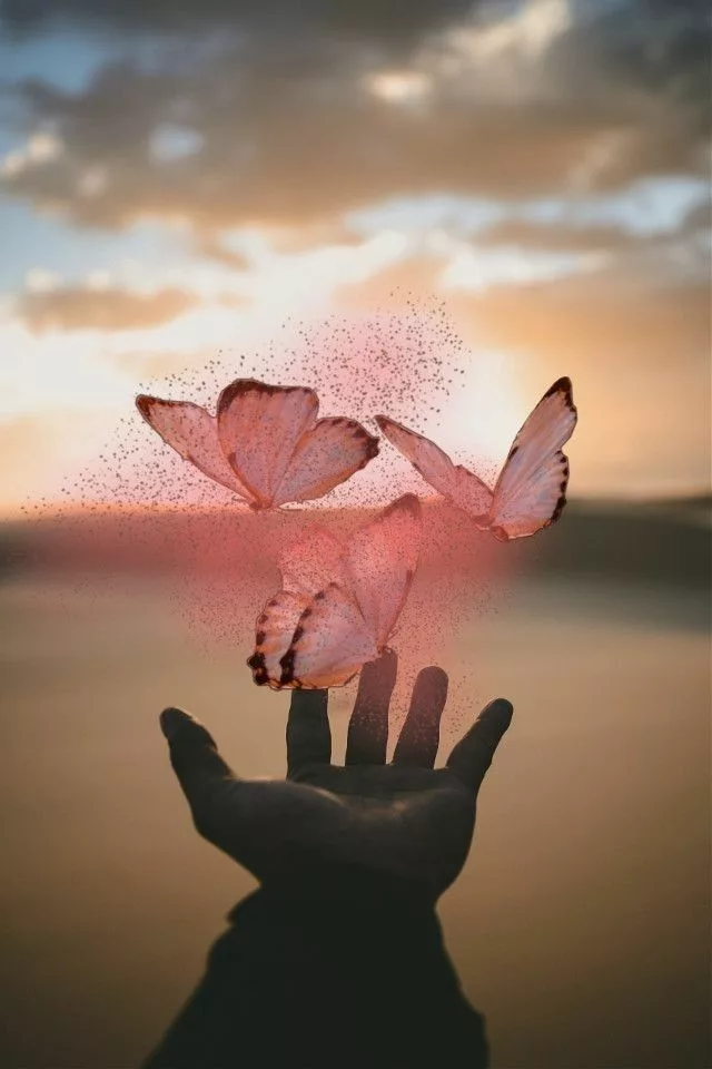 Papillon s’envolant d’une main au lever du soleil, symbole de renouveau et de transformation personnelle.